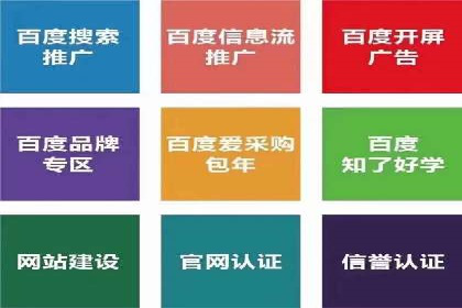 SEM广告创意与优化：成功案例分享
